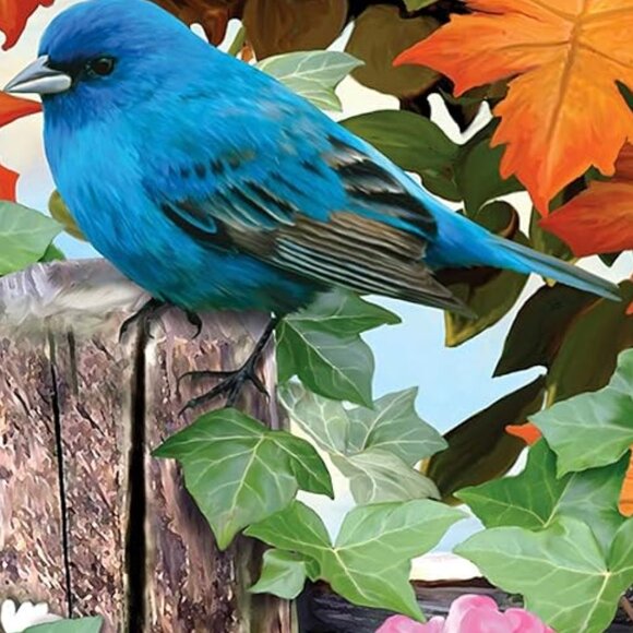 New sealed Ravensburger 500pcs Puzzle-Garden Birds - Picture 10 of 16